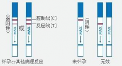 专家告知：验孕棒一深一浅的三个原因