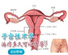 治疗子宫性不孕要花多少钱？